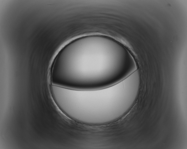 X0000086771516200704130825