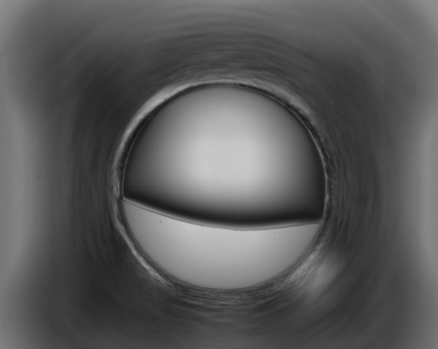 X0000086771517200704130825