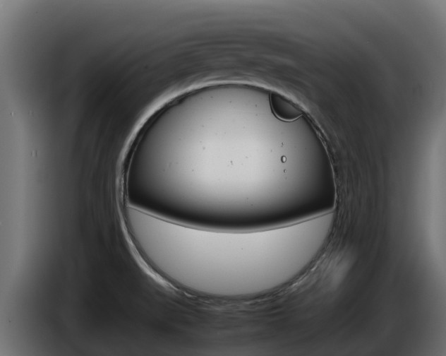 X0000086771519200704130825