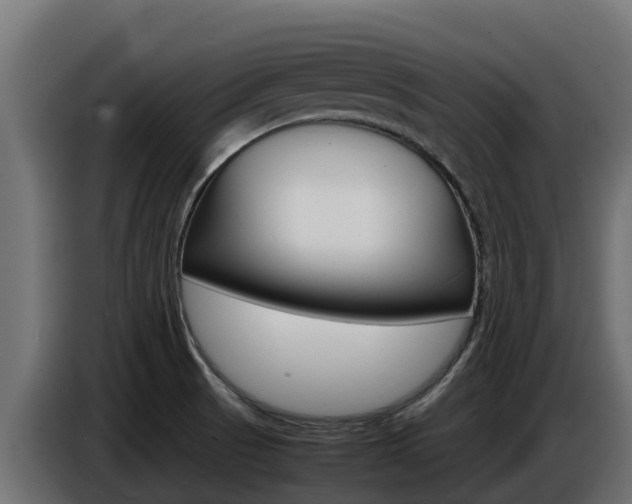 X0000086771521200704130825