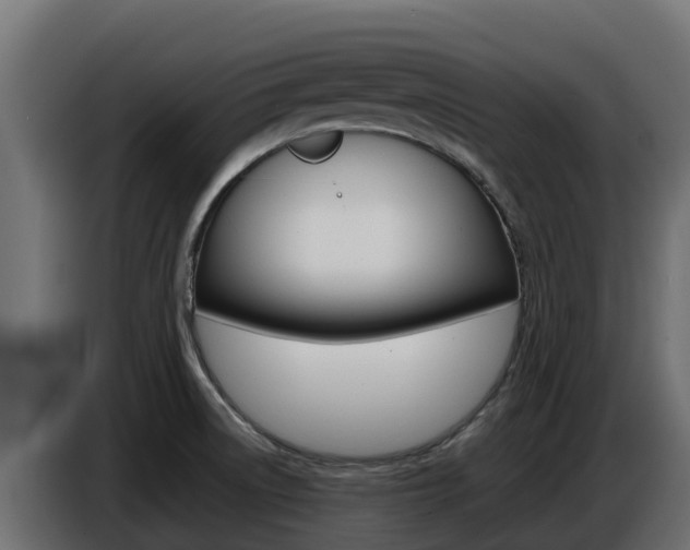 X0000086771522200704130825