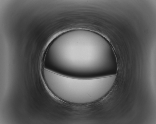 X0000086771523200704130825