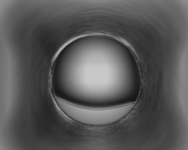 X0000086771524200704130825