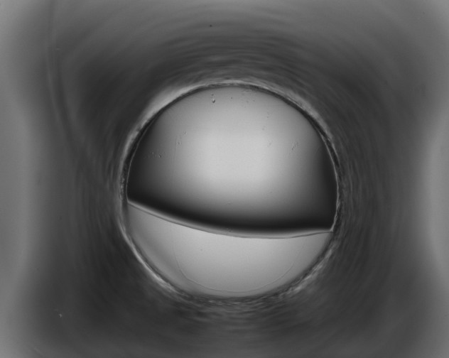 X0000086771525200704130825