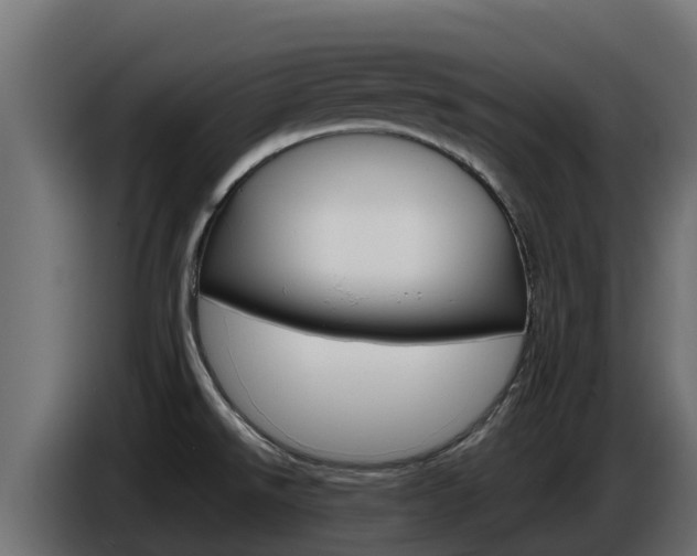 X0000086771526200704130825