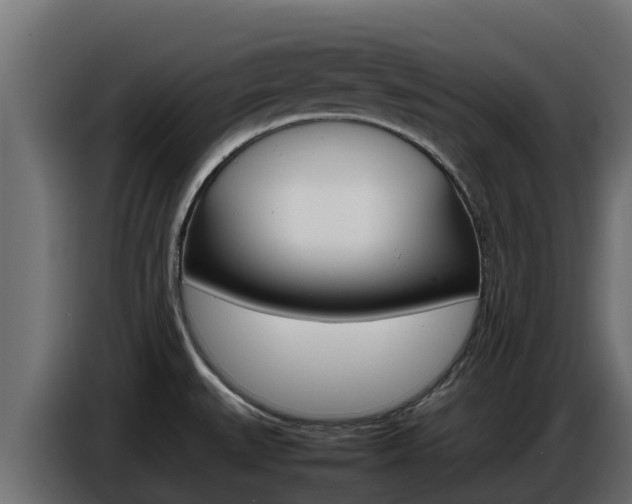 X0000086771527200704130825