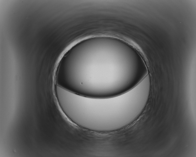 X0000086771528200704130825