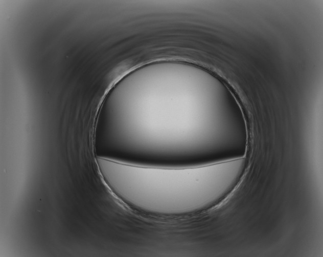 X0000086771529200704130825