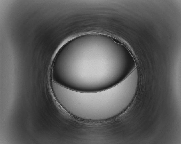 X0000086771530200704130825