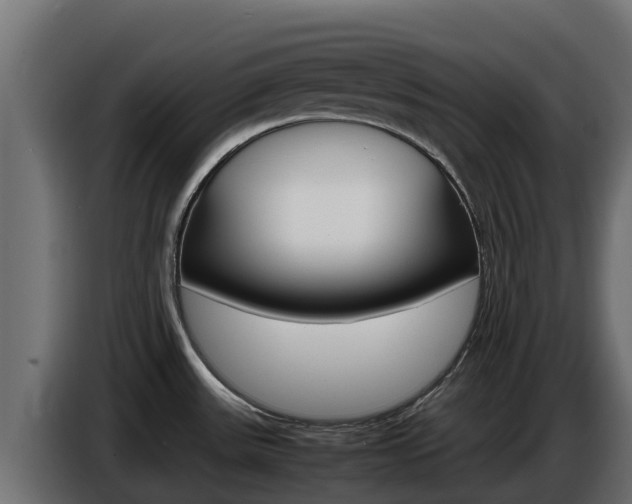 X0000086771531200704130825
