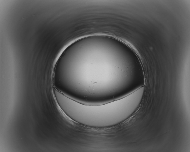 X0000086771532200704130825