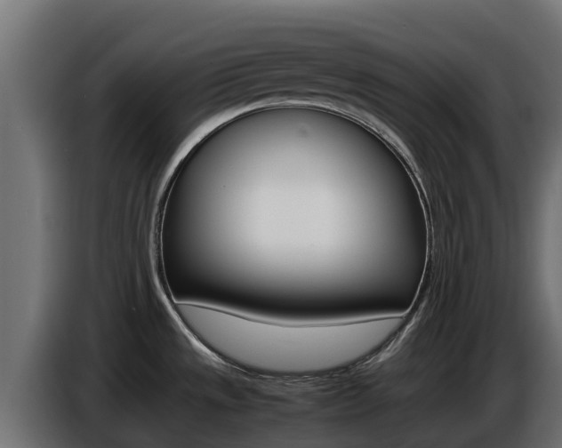 X0000086771533200704130825