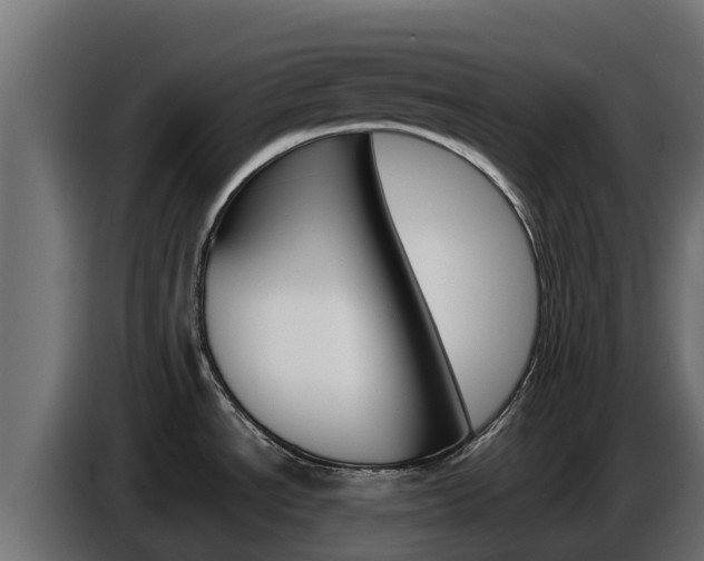 X0000086771534200704130825