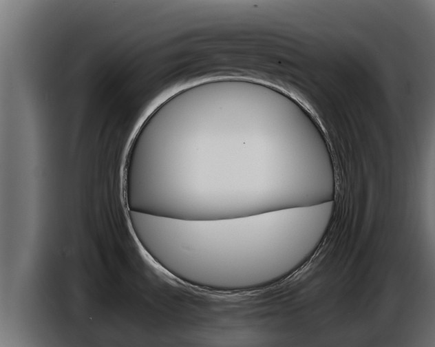 X0000086771535200704130825