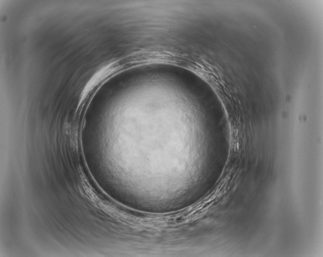 X0000086770004200704131153