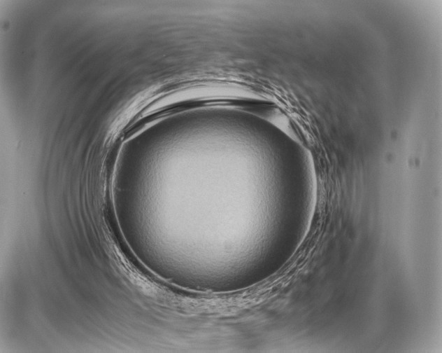 X0000086770005200704131153