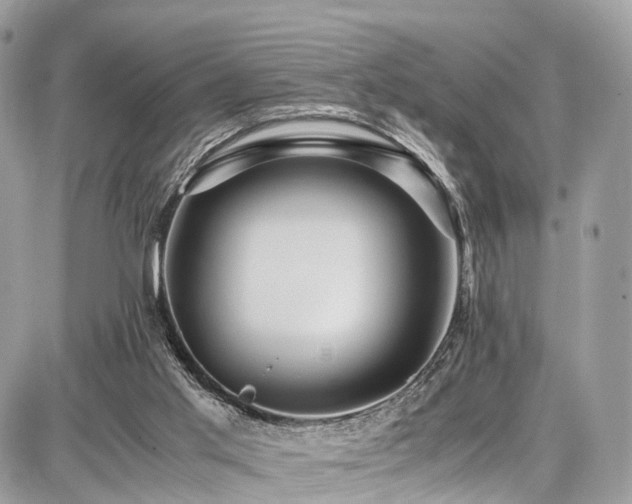 X0000086770013200704131153