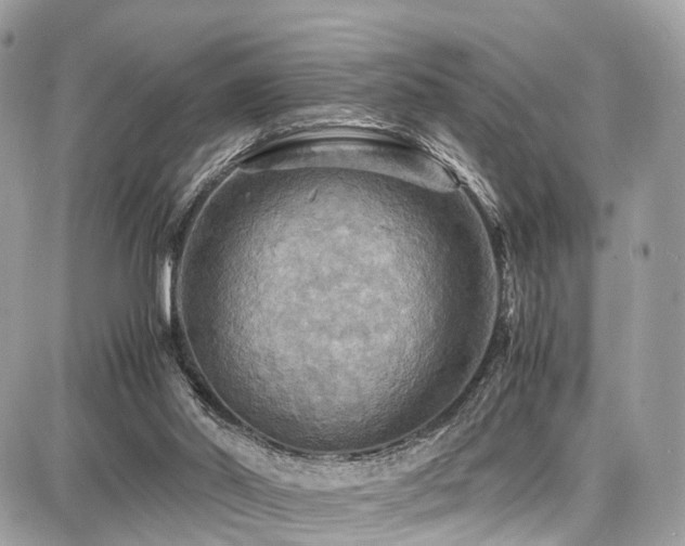 X0000086770014200704131153
