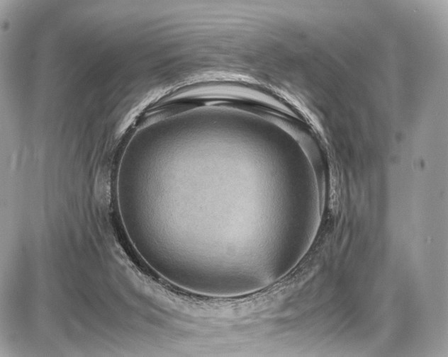 X0000086770015200704131153