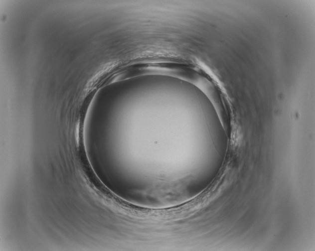 X0000086770019200704131153