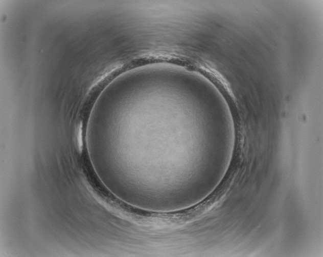 X0000086770020200704131153