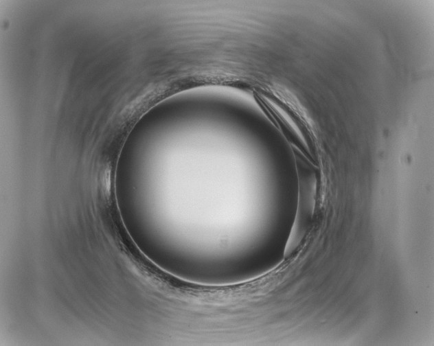 X0000086770021200704131153