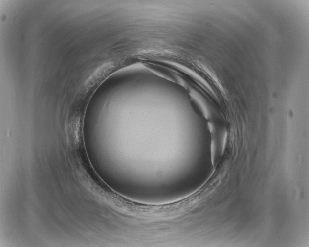 X0000086770023200704131153