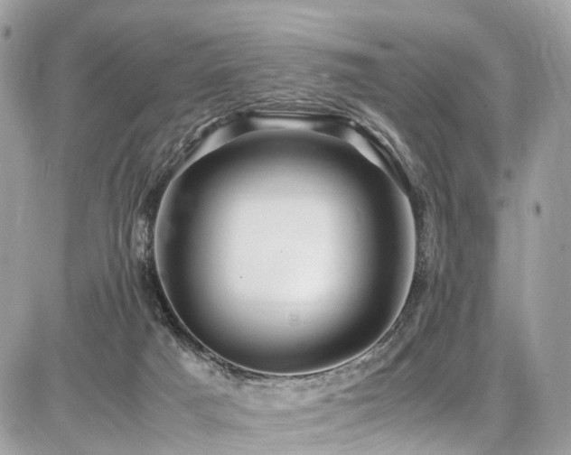 X0000086770025200704131153