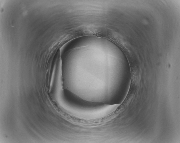 X0000086770027200704131153