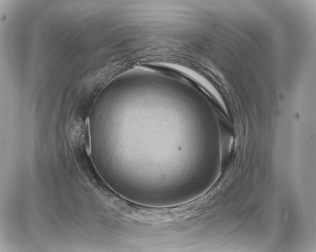 X0000086770029200704131153