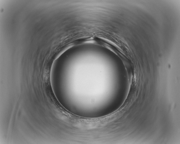 X0000086770033200704131153