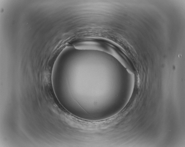 X0000086770035200704131153