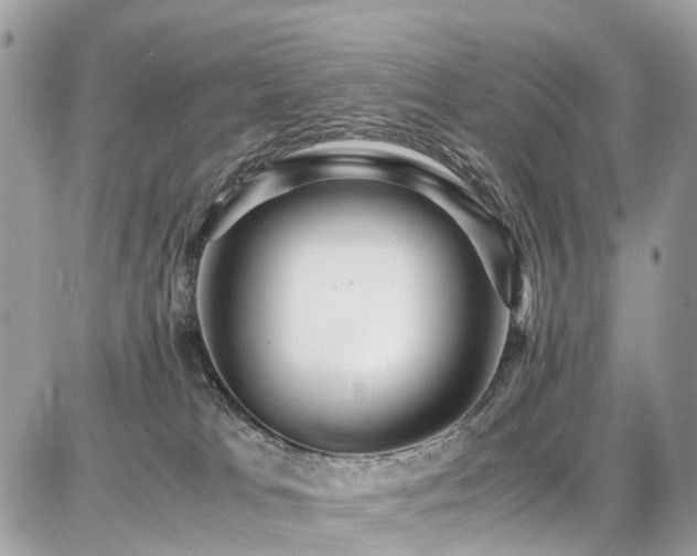 X0000086770037200704131153