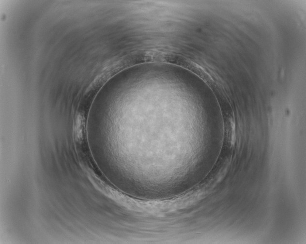 X0000086770038200704131153