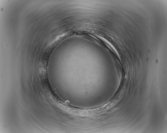 X0000086770040200704131153