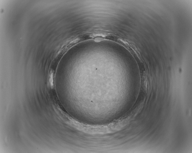 X0000086770042200704131153