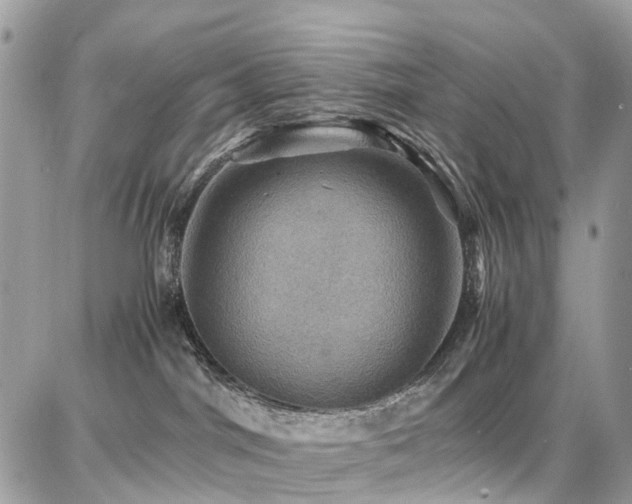X0000086770044200704131153