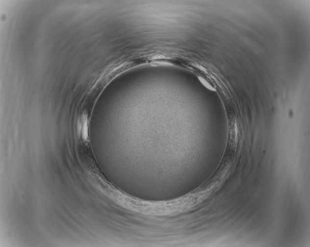 X0000086770046200704131153