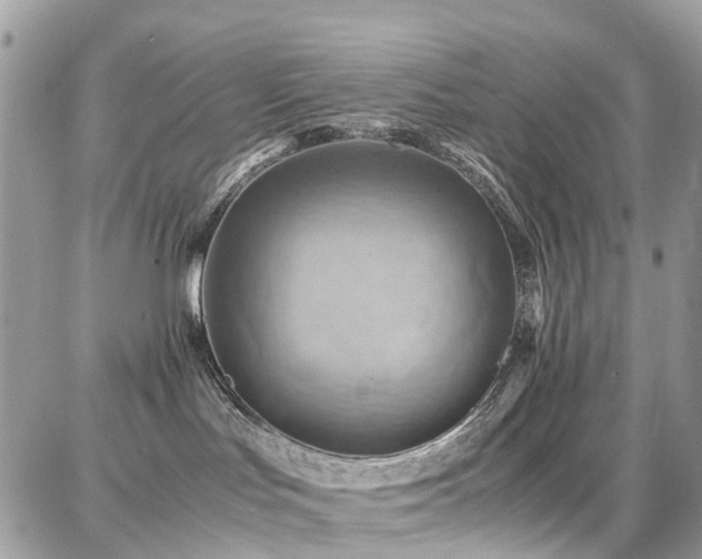 X0000086770047200704131153
