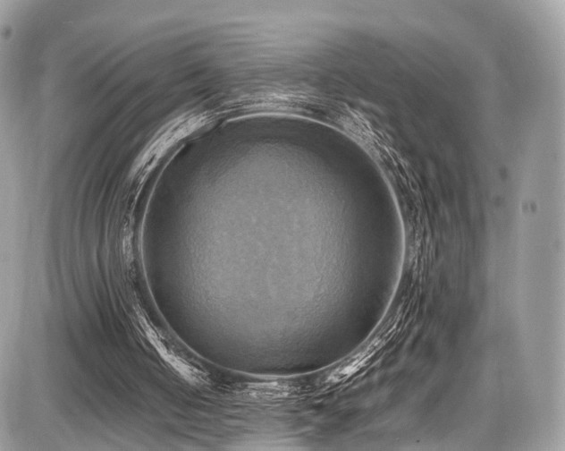 X0000086770050200704131152