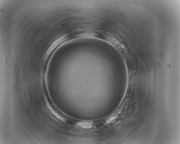X0000086770051200704131152