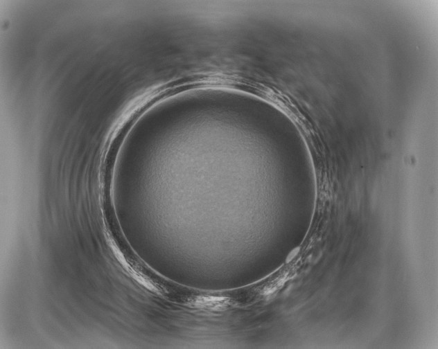 X0000086770055200704131152