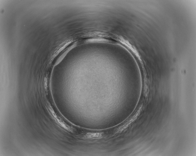X0000086770057200704131152