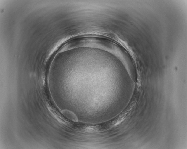 X0000086770060200704131152