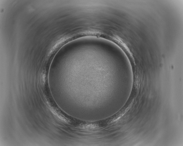 X0000086770063200704131152