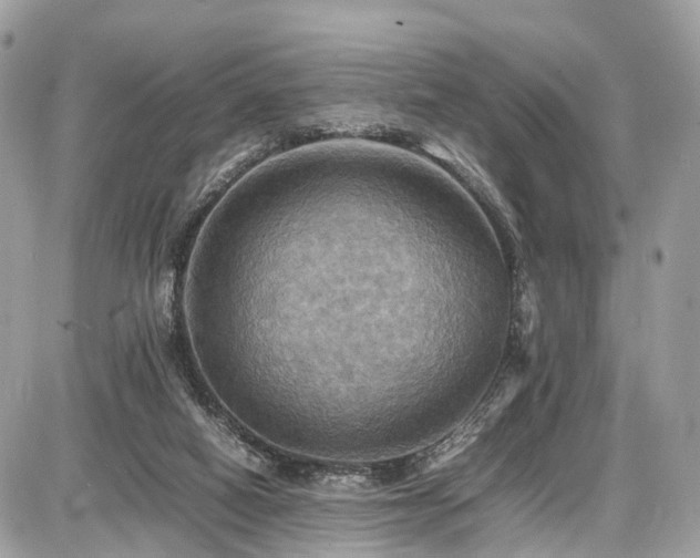 X0000086770066200704131152