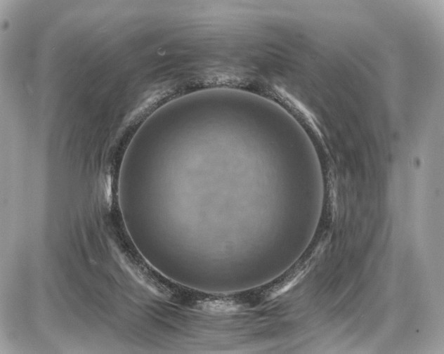 X0000086770067200704131152