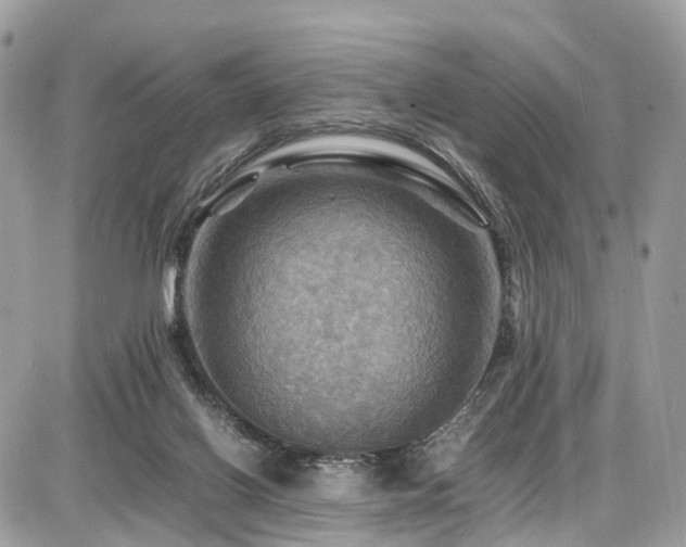X0000086770070200704131152