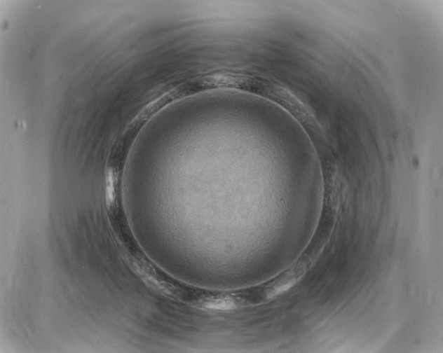 X0000086770075200704131152