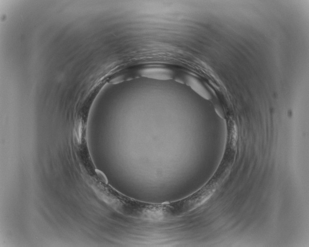 X0000086770076200704131152